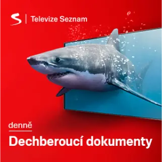 Advertisment
